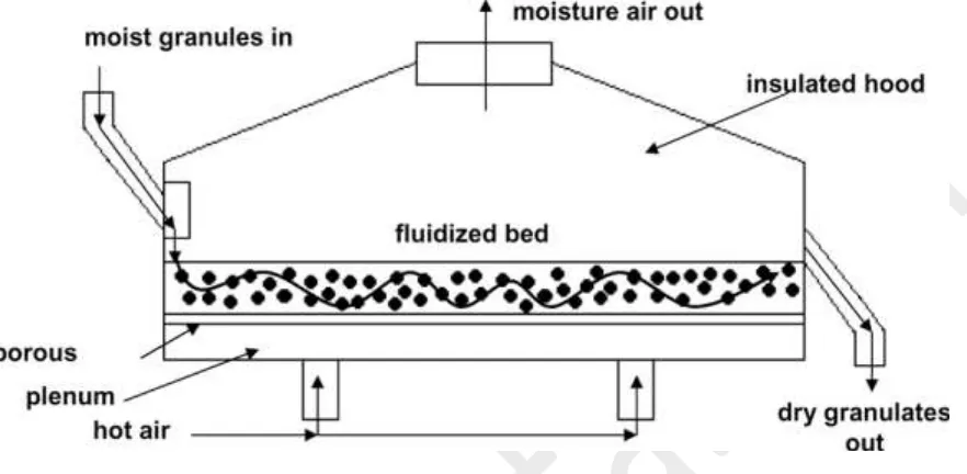 Fig. 2: Concept of fluidized bed drying (Murthy and Joshi, 2007)