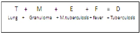 Figure 1.  “Equation” of SNOMED disease axes 