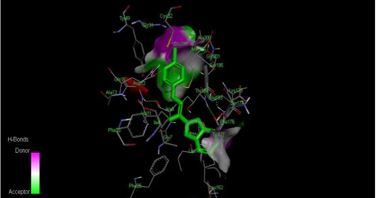 Fig (e): Binding of Compound 5b with 1MOX. 