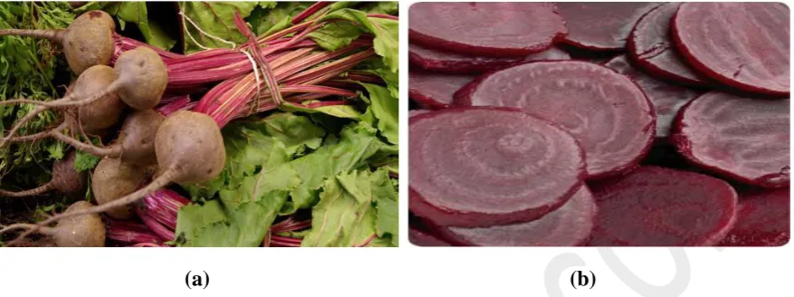Figure 1: (a) and (b) shows fresh and sliced beetroot respectively 