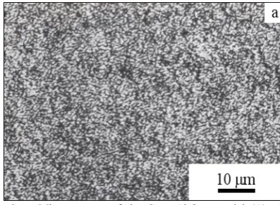 Figure 3b.   Microstructure of the Cu - Al2O3 material (B) after the 