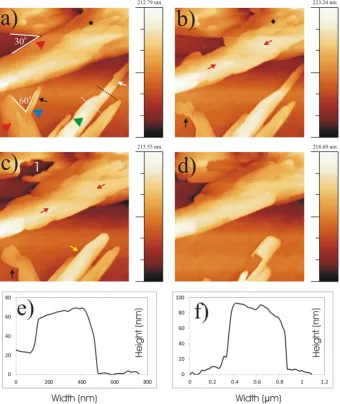 Figure 2.  Morphological changes observed by tapping mode AFM at different time intervals for LG crystals after recrystallizing 0.4 mg/mL LG solution heights