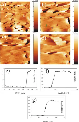 Figure 3.  AFM images at different time intervals showing the topographical changes of LG crystals after recrystallizing 0.4 mg/mL LG solution (chloroform solvent) on to glass substrate