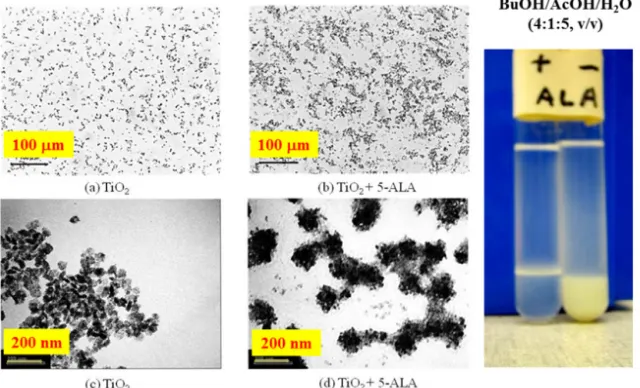 Figure 5.  Raman spectra of the 0.2%-TiO2 nanoparticles with 5-ALA before and after the oral administration