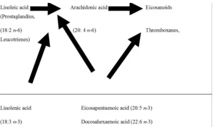 Figure 1. Competition between n-3 and n-6 polyunsaturated fatty acids can slow down the eicosanoid formation [33]