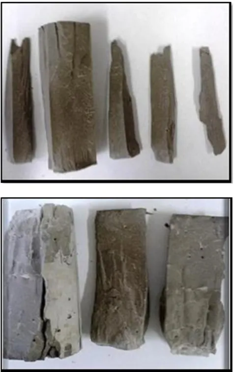 Figure 2.  Samples of cement pastes (left) and mortar (right) after being broken in the compressive strength test 