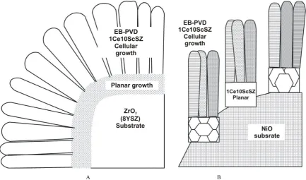 Figure 11.  STEM micrographs of the anode – electrolyte interfaces (AEI) between 1Ce10ScSZ electrolyte film deposited on 8YSZ (A) and NiO (B) grains of the porous NiO – ZrO2 anode composite with EB-PVD in the state after annealing at 1100 °C [29]