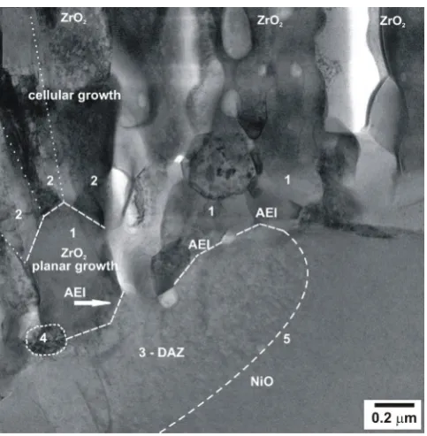 Figure 13. Schematic reconstruction of ZrOcourse of planar growth and followed by a few branches (2) grown with the cellular mechanism as laminated cells/filaments