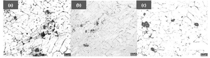 Figure 8.  Microstructure images of the composite reinforced by 3% SiC particle at 140οC