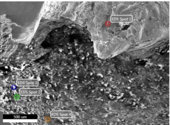 Figure 4.  Sectional area of the first and second layers, for which the distribution of the elemental composition of corrosion products at points 