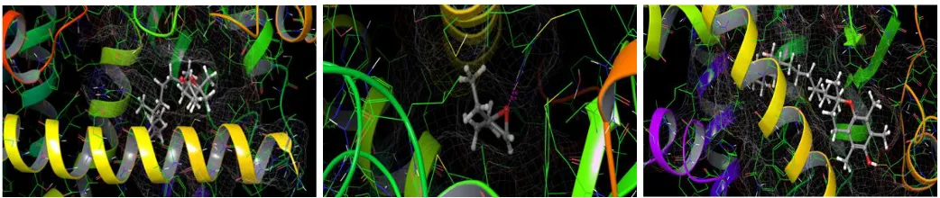 Fig. 5:  Fig. 6: The bioactive compound of Vitamin E with PPARγ protein.The bioactive compound of Oxirane complex    complex with PPARγ protein