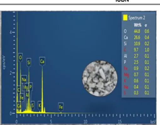 Figure 3.5 shows graph of percentage of phosphorus removal with different concentration of synthetic wastewater for RCA size (5-10 mm) and (25-30 mm) with five different concentration of synthetic wastewater