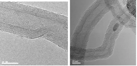 Figure 1.  High resolutionTEM images of multiwall CNTs 