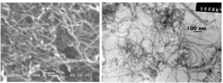Figure 2.  SEM and TEM images of multi-walled CNTs agglomerates 
