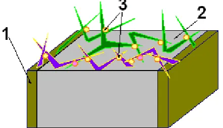 Figure 1.  General view of a point-contact gas-sensitive element based on the mesoscopic multistructure of TCNQ compound