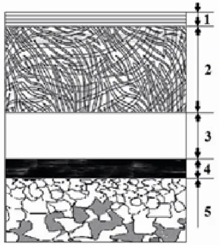 Figure 2.  The microstructure of hardened diffusion layer of chemically isothermal holding 1 hour