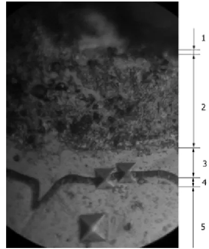 Figure 3.  The microhardness averaged diffusion hardened layer of modes: isothermal holding 1 hour at 800°C, diffusive saturation Cr-Ti 7 chemically Ni-Co-P coating for recipe №1 and for the diffusion of Cr-Ti hours at a temperature of 1100°C 