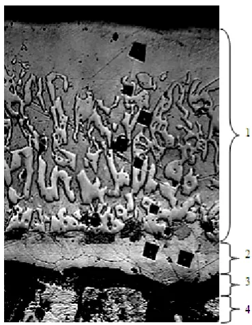 Figure 13.  The microhardness averaged diffusion hardened by the diffusion Cr-Ti modes: isothermal holding 1 hour at 800°C, diffusive saturation Cr-Ti 7 hours at a temperature of 1100°C 