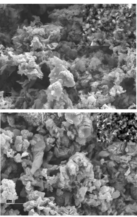Figure 4.  Scanning electron micrographs of the SGL graphite surface. The picture of sample was made a little away from the destruction area in the "secondary electrons" mode