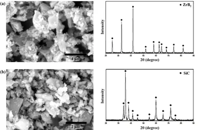 Figure 1.  SEM images of morphologies and XRD patterns of as-received powders; (a) ZrB2 and (b) SiC.