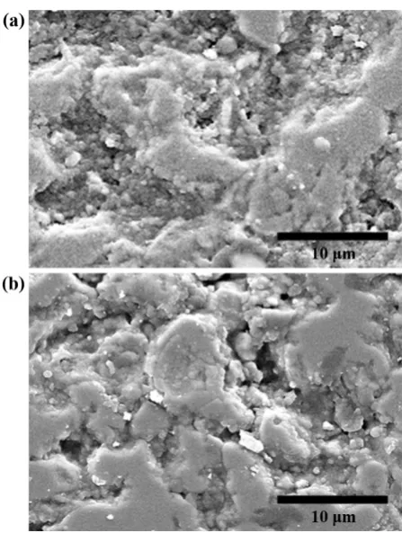 Figure 6.  SEM micrographs of the samples hot pressed at 1850 °C; (a) monolithic ZrB2 ceramic, and (b) ZrB2–30 vol