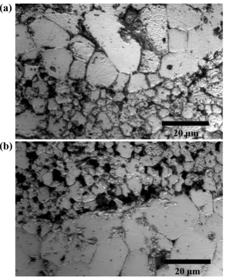 Figure 10.  Optical microscope images of polished and thermally etched 