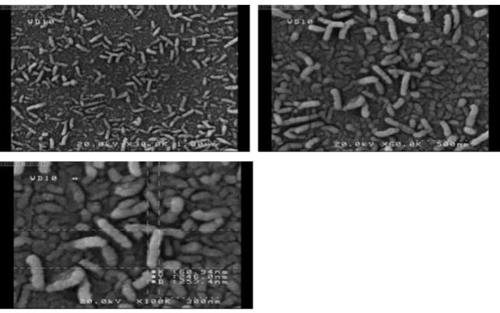 Figure 4. Field emission scanning electron microscopy (FE-SEM) images for Vanadium oxide with gas rate mixture (Ar/O2)=(95/5) 