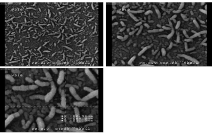 Figure 7. Field emission scanning electron microscopy (FE-SEM) images for Vanadium oxide with gas rate mixture (Ar/O2)=(70/30) 