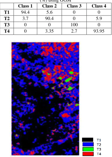Fig.28. Radar image classified by Generalized Gaussian  Model 