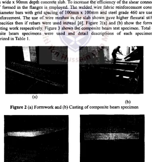 Figure 1 Bent-up triangular tab shear transfer (BTTST) 