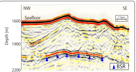 Fig. 2 Example of BSR picking from the seismic profile generated by the KR0211 cruise