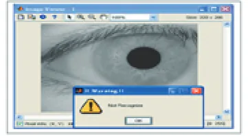Figure 6.0: Recognition Result for Unknown User Iris 