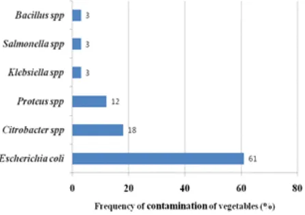 Figure 4.  Variations of various microorganisms on fresh vegetables 