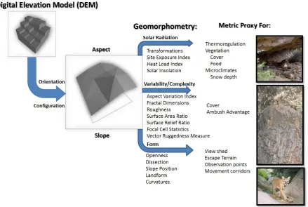 Figure 1.  Digital Elevation Models (DEMS) are used for a variety of landscape metrics, sometimes just as raw 3-dimensional coordinates, and often as proxies, such as slope, which is often used to describe escape terrain for bighorn sheep, and mountain lio