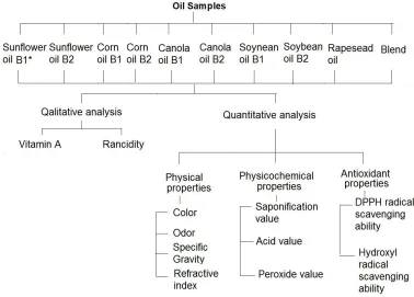 Fig. 1. Scheme of the study 
