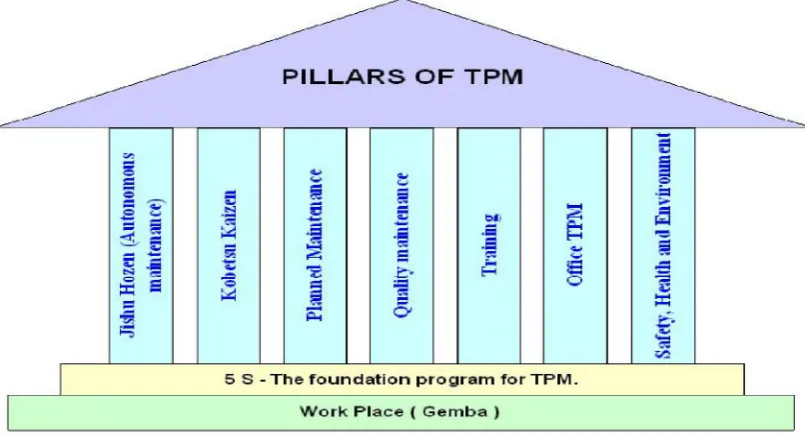 Figure 1:  TPM Activity Pillars 