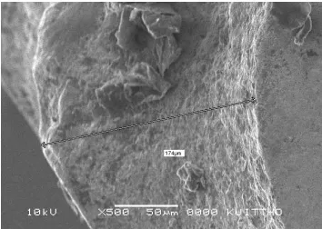 Figure 10 SEM view on nose wear of  