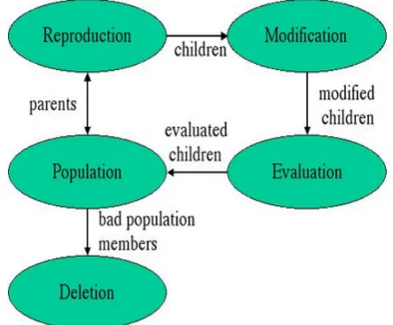 Fig.1. Anatomy of a Genetic Algorithm
