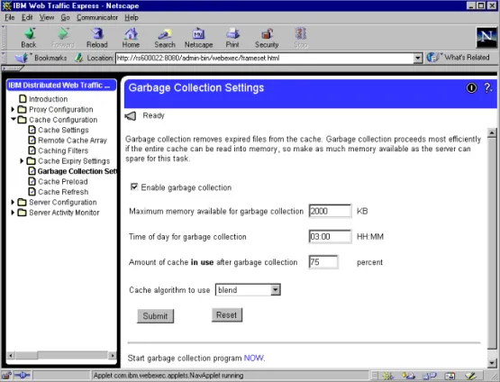 Figure 56. IBM WTE GUI - Garbage Collection Settings