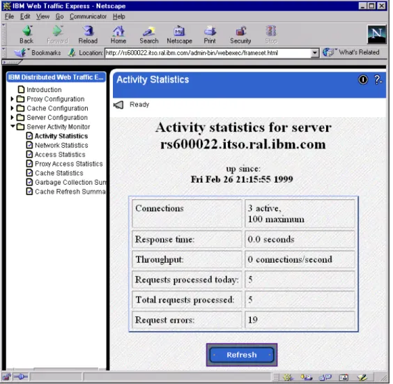 Figure 57. IBM WTE GUI - Activity Statistics