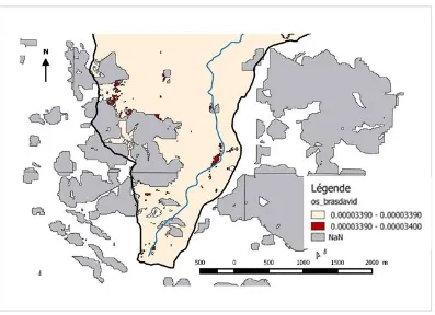 Figure 7.  Up watershed land use of Bras-David River: most connector habitat patches are degraded forest next to the channel river, of agricultural fields