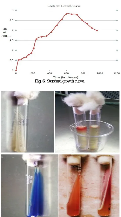 Fig. 6: Standard growth curve. 