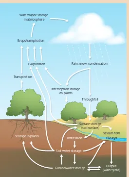 Fig. 2. The hydrologic cycle. Adapted from Encyclopedia of the Earth (Hubbart JA, et al