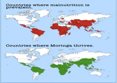 Fig. 1. Countries with 3-35% malnourished population and countries where Moringa grows naturally   
