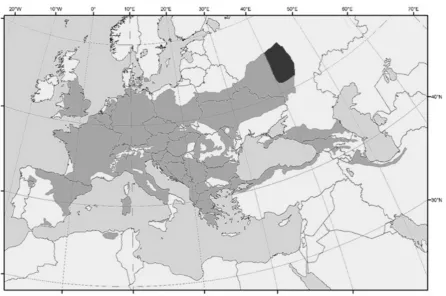 Figure 1.  Natural range of the Acer campestre L. Its north-western part (Republic of Mordovia, Ryazan' region, Penza region) is marked in dark-gray  (Map with modifications is from web site of European Forest Genetic Resources Programme: www.euforgen.org) 