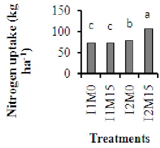 Table 12.  Effect of mulch on NPK uptake by maize crop 