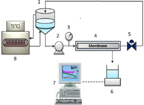 Table 1. Characteristics of the membranes studied Table 1. Characteristics of the membranes studied