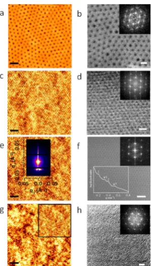 Figure 1 | AFM and SEM images of microphase separated dot patternsafter solvent annealing for different molecular weight PS-PEO systems(a), (b) 102 k–34 k, (c), (d) 42 k–11.5 k, (e), (f) 32 k–11 k and (g), (h)16 k–5 k respectively