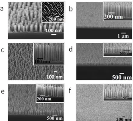 Figure 6 | Tilted and cross-sectional SEM images of the Si nanopillars/wiresafter pattern transfer into the Si substrate for different molecular weightsystems and with different etch time (a) 102 k–34 k, 3 min, (b) 42 k–11.5 k,10 min, (b, inset) 42 k–11.5 k, 8 min, (c) 32 k–11 k, 5 min (d) 32 k–11 k,8 min, (e) 32 k–11 k, 10 min and (f) 16 k–5 k, 3 min respectively.