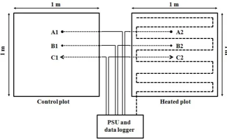Figure 2.  Bird’s eye view of soil-heating setup installed in heated and control plots at the study site